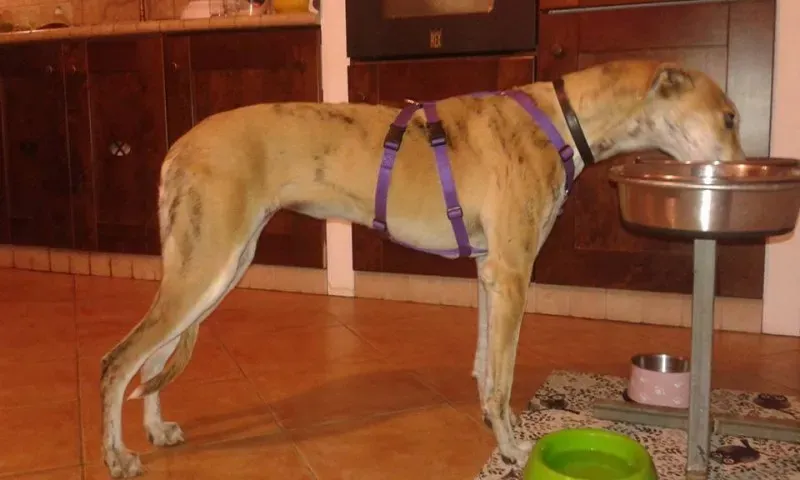 12239961 918286658255190 4909151739215235901 n