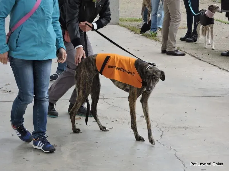 12239965 918531588230697 7728518574713168484 n