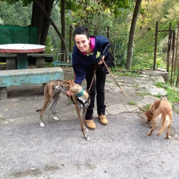 12239991 918284601588729 1588080817963339094 n