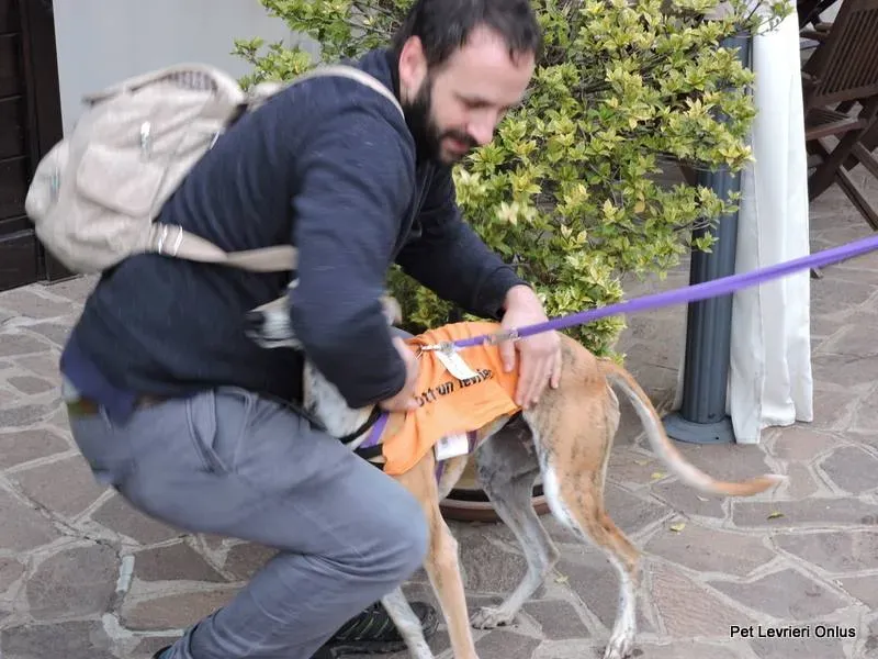 12240020 918537071563482 2226534801601870277 n