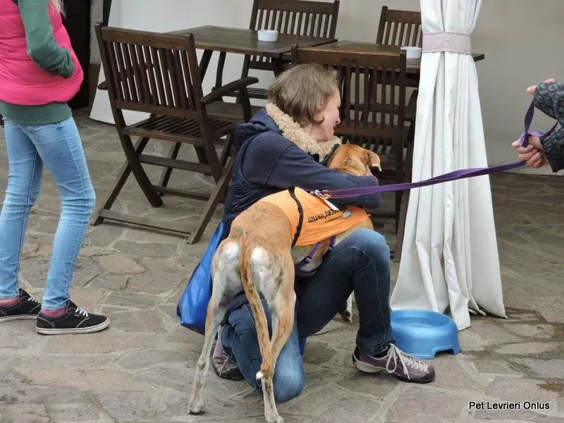 12240114 918536321563557 2452509327552111995 n