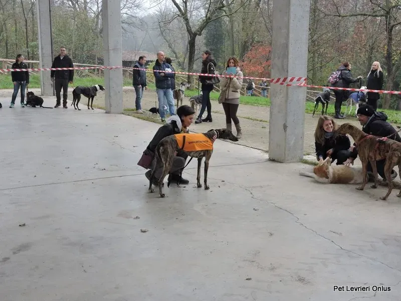 12241261 918531471564042 5539159469080831873 n