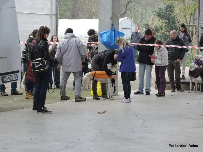 12241299 918531624897360 1373621997159289981 n