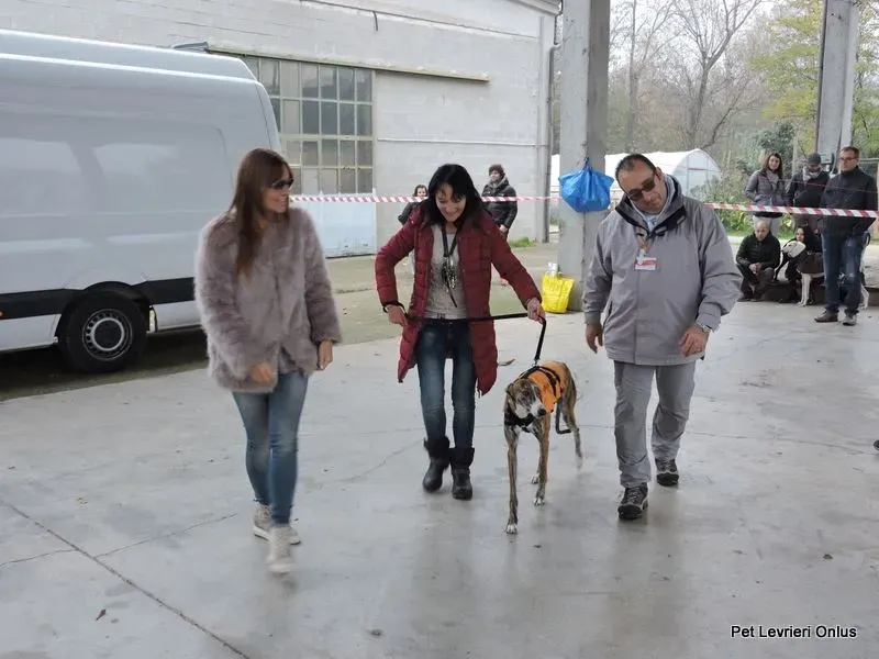 12241401 918532674897255 1436336151487345442 n