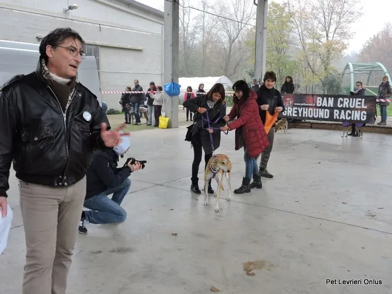 12241472 918529688230887 8548808897765533744 n