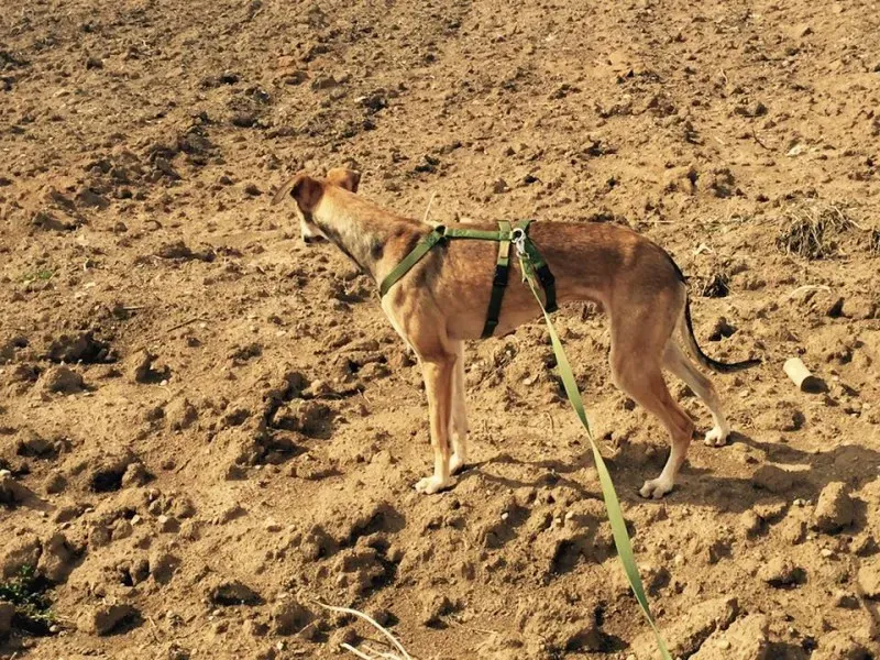 12241483 10209180445452280 1755415992774039659 n