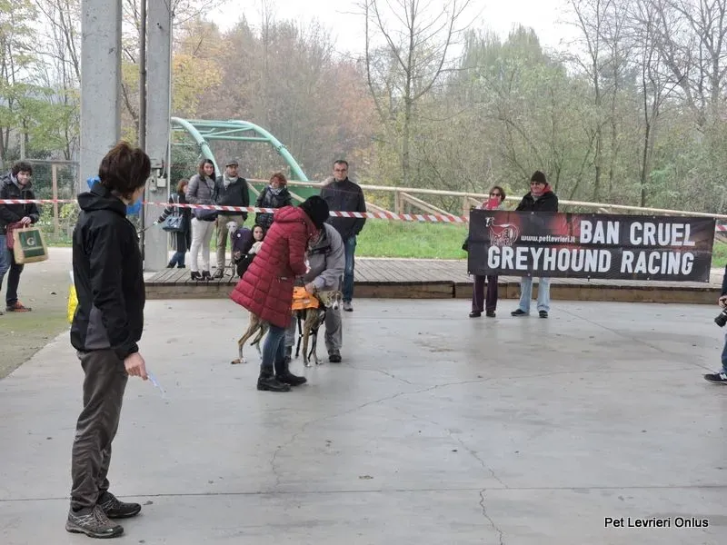 12241521 918532361563953 3651465828963231701 n