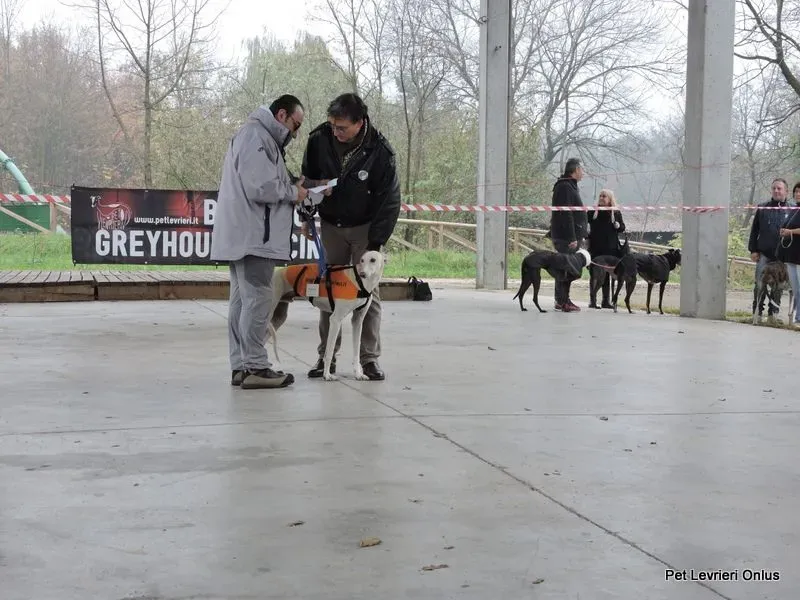 12241648 918532108230645 6277374346978701877 n