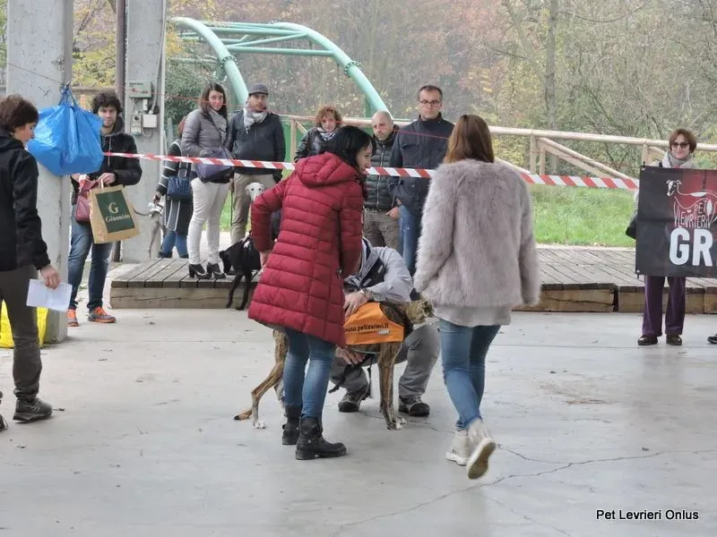 12241678 918532404897282 6198310307223663397 n