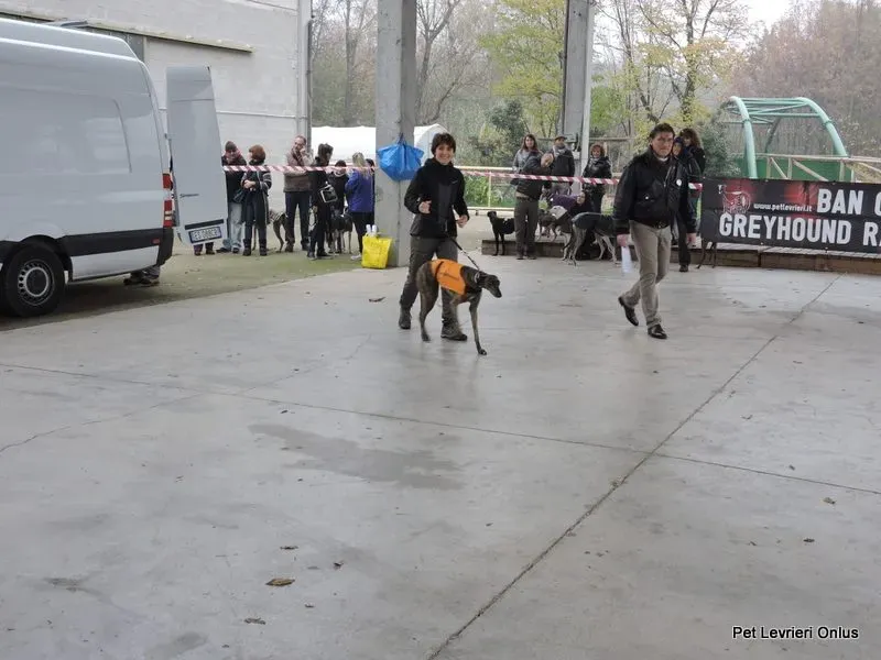 12243009 918531158230740 5828502172053502910 n