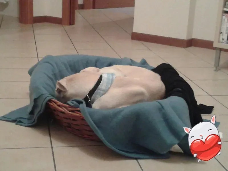 12243036 10154116186449123 4348099725243669400 n