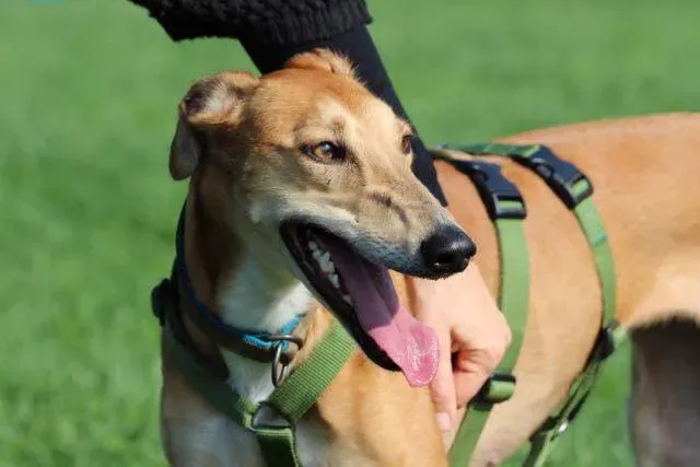 12243062 919282344822288 3091708977213309917 n