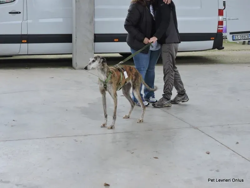 12243092 918530244897498 8267041139906176622 n