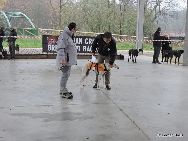 12243158 918532054897317 3257104392683950859 n