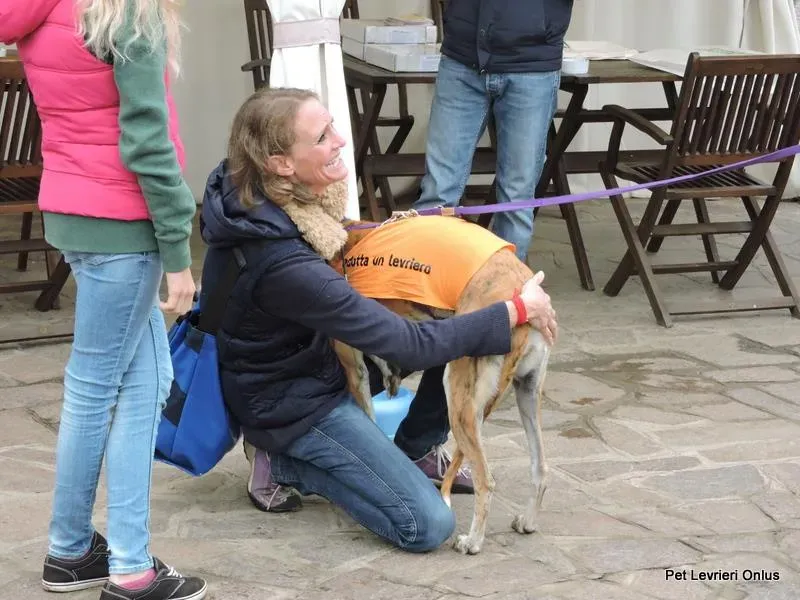 12243172 918536021563587 7035848309264520149 n