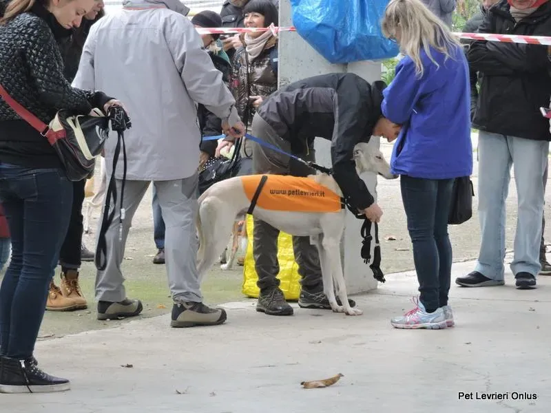 12243186 918531678230688 6453993438054609341 n