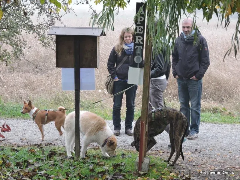 12243263 918538878229968 4269402420974421972 n