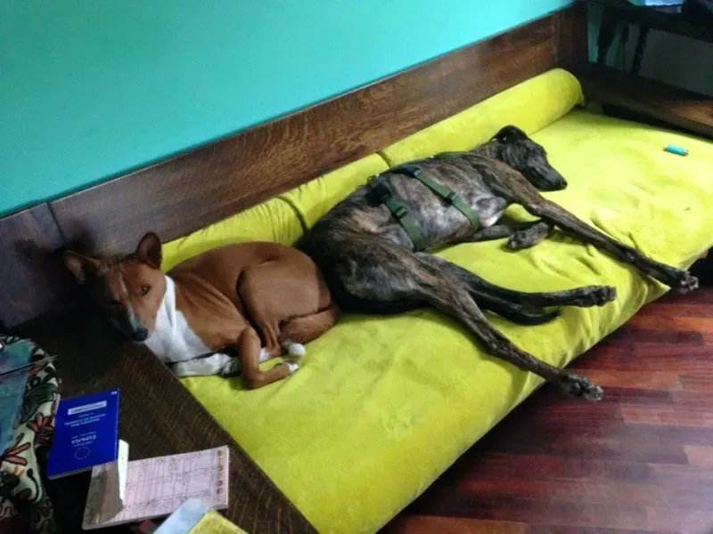 12243269 918283301588859 5506762433861917083 n