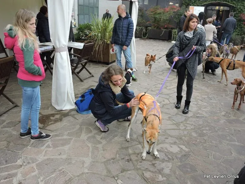 12243278 918536501563539 210812156350424695 n