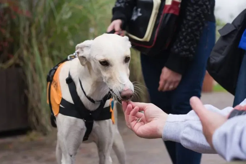 12243362 918487318235124 2034776600904403971 n