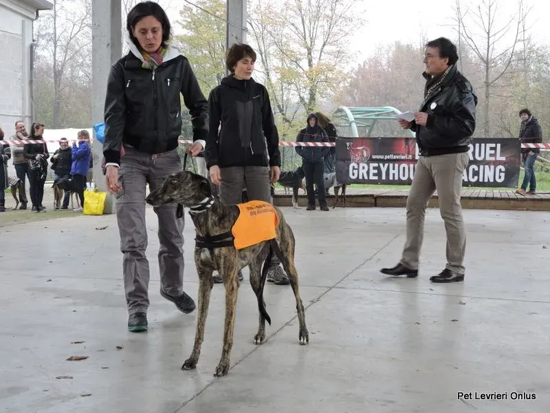 12243400 918531358230720 5518853493365702108 n