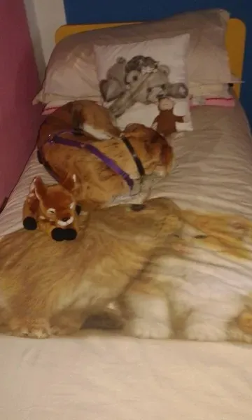 12243412 10206374797986083 6871716216332821509 n