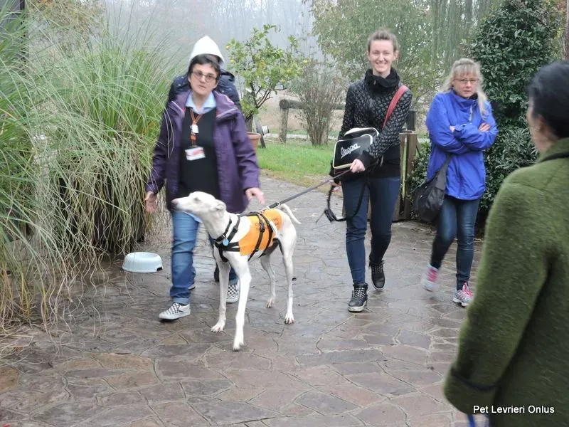 12243490 918538094896713 78322100227556071 n