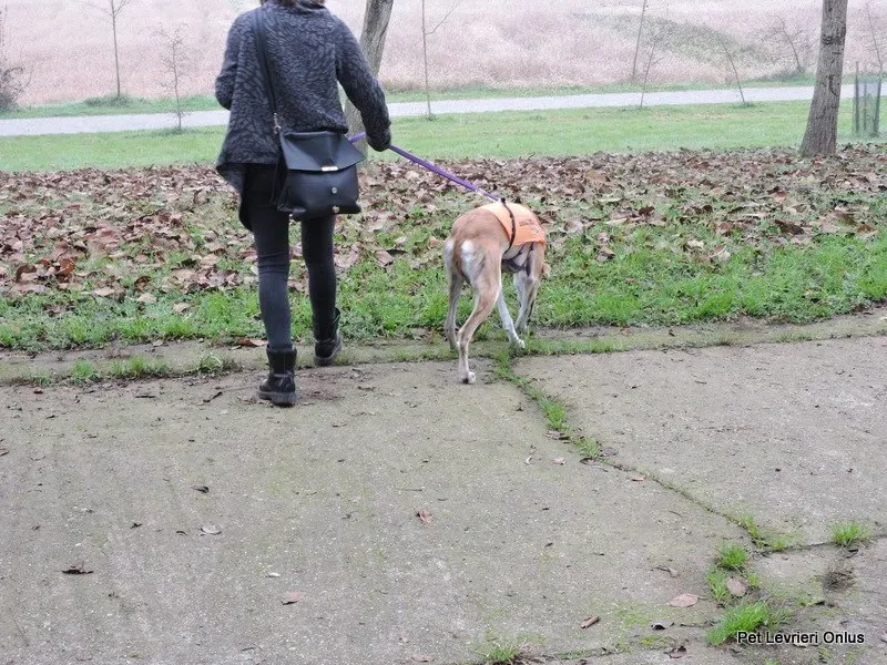 12243495 918530011564188 1398850435120880719 n