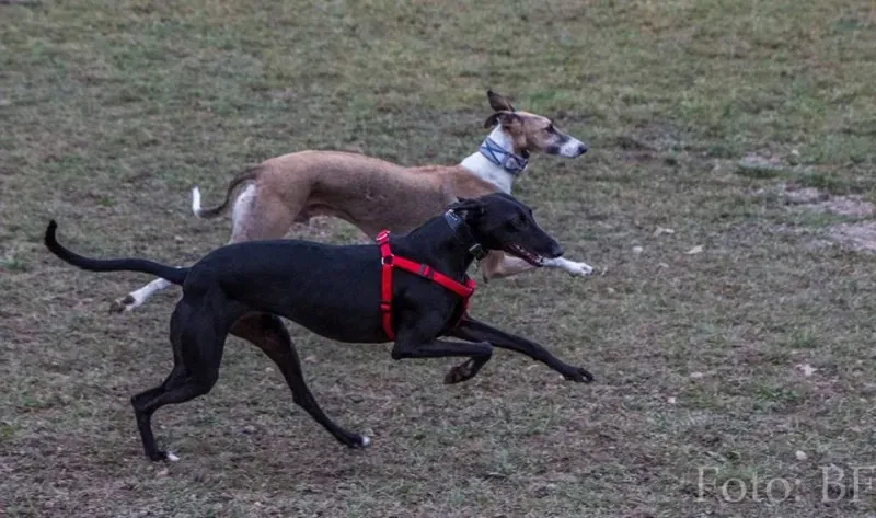 12243527 10207747468306241 5327037087256364040 n