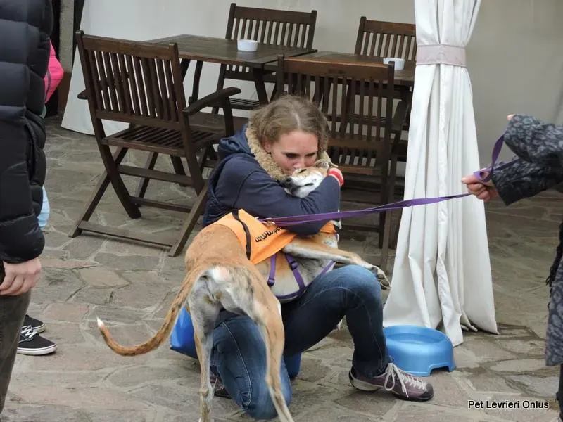 12243593 918536348230221 2546749191690572960 n