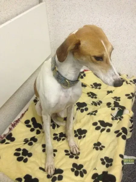 12243994 10153033753335194 1659643391 n