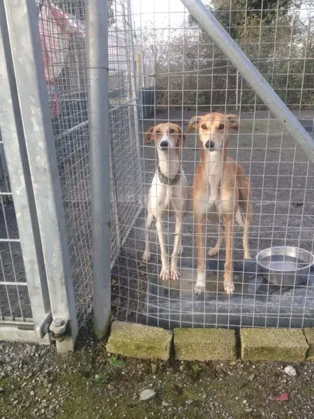 12244176 10153033747615194 247866247 n