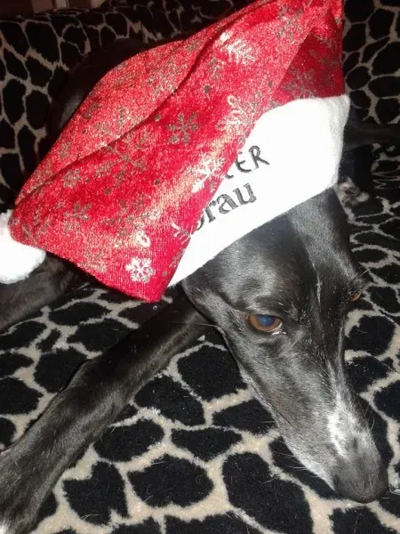 12245 531228763713097 8727437122632379491 n