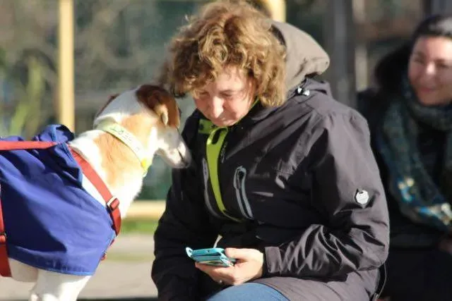 12246645 929738673776655 5938963596314527141 n