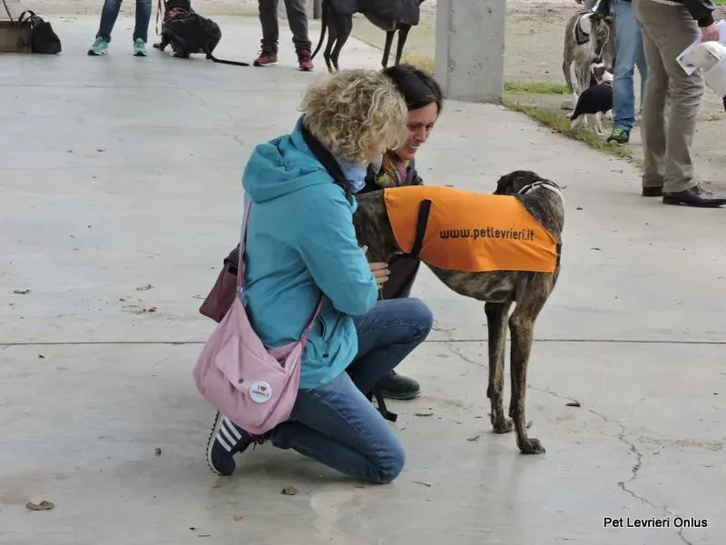 12246656 918531561564033 8658646097762599256 n