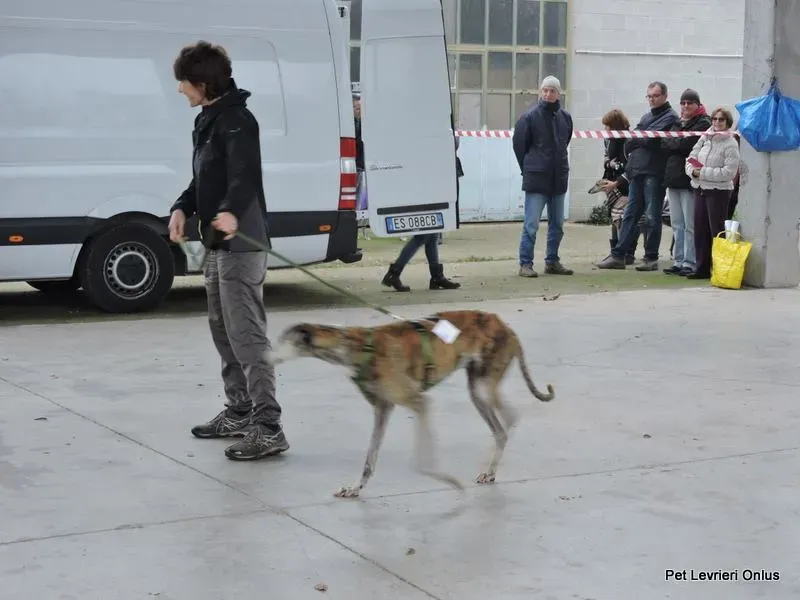 12246667 918530241564165 1498792965593107062 n