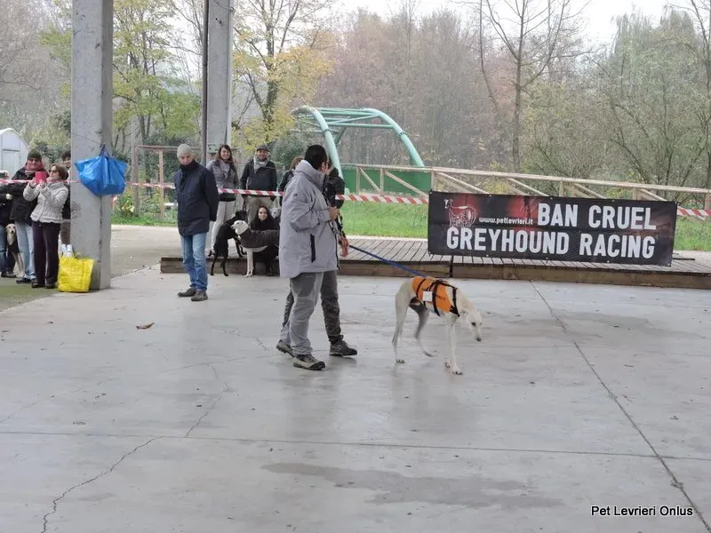 12246706 918532058230650 2250885557599218609 n