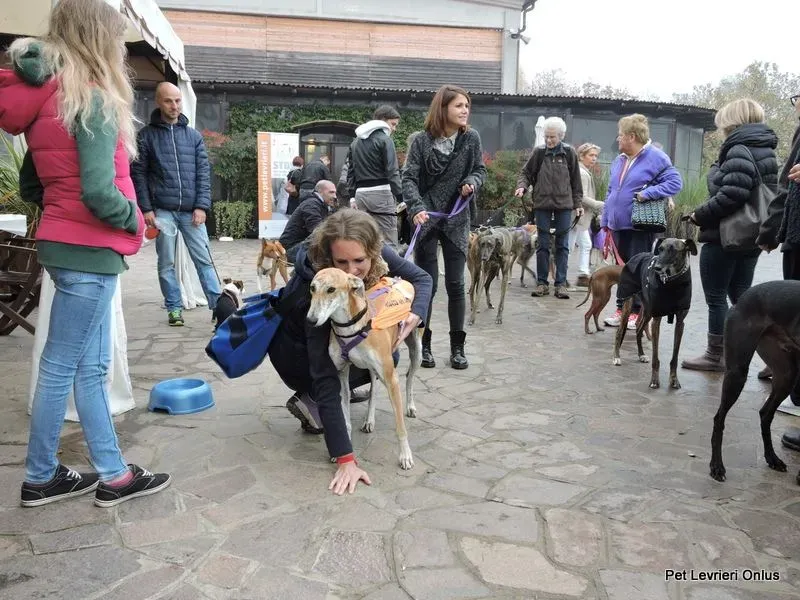 12246761 918536598230196 6816379260505418608 n