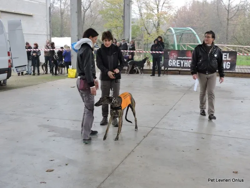 12246814 918531201564069 2235917418487556116 n