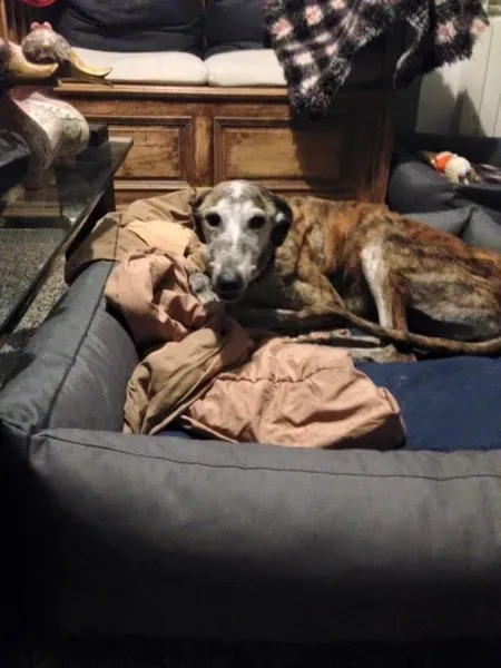 12246844 10208239843504874 3080704467143872038 n