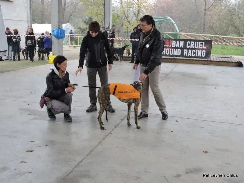 12246861 918531238230732 4284861739408056046 n