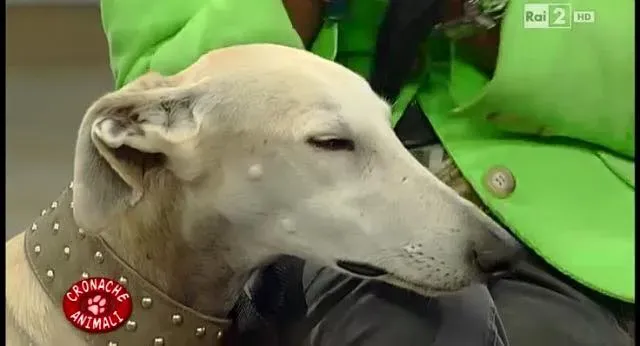 12246983 10206250902843899 5712473298674831666 n