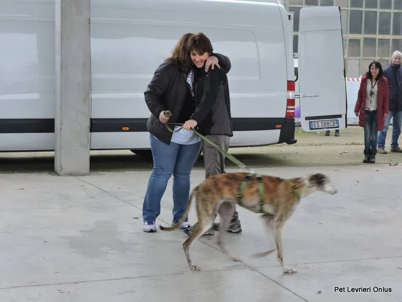 12247004 918530281564161 18890813895583101 n