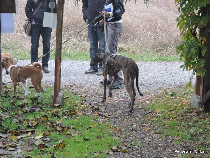 12247188 918538794896643 3592179701975195387 n