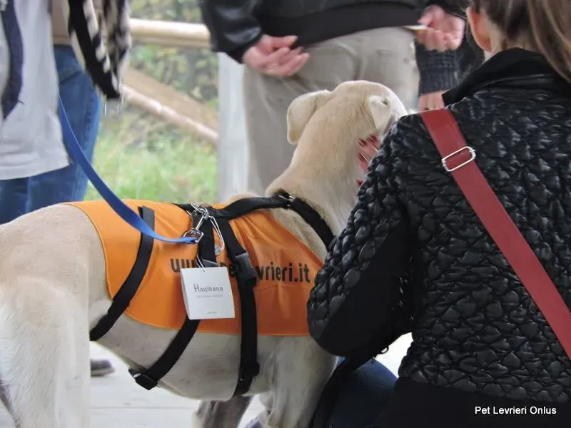 12247191 918532254897297 4687015282779082362 n