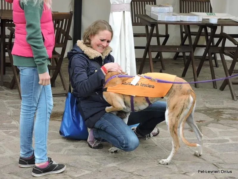 12249601 918536171563572 7580241139055891589 n