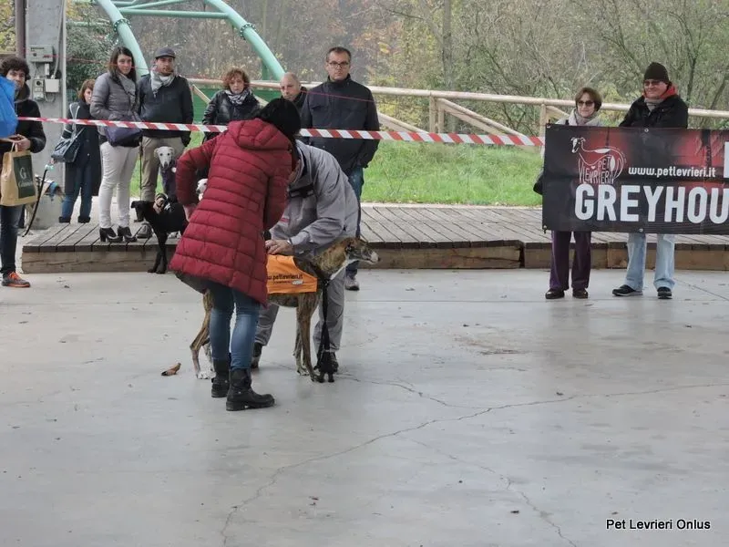 12249636 918532414897281 1793464502210760101 n