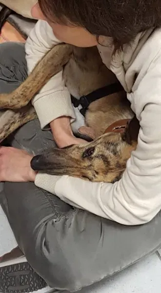 12249638 10206824353439447 6452740654749740575 n