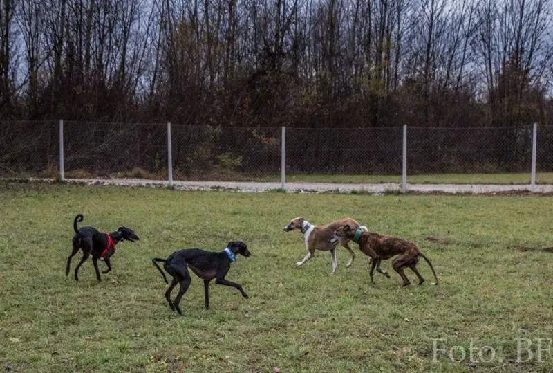 12249697 10207747467786228 6010943116716123347 n