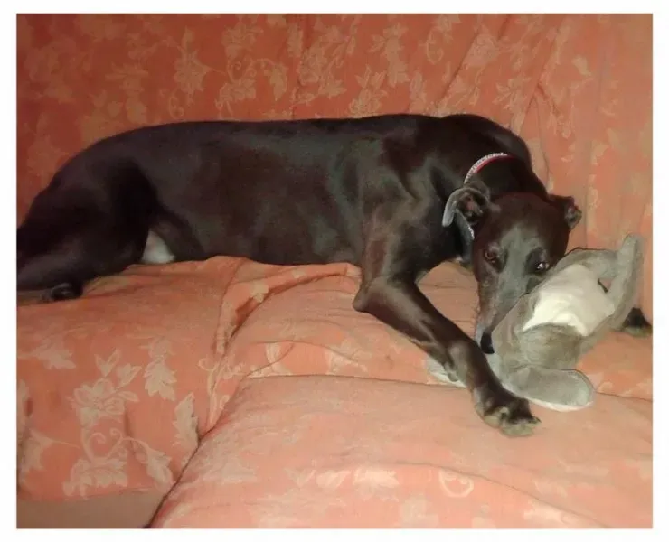 12249742 921445214606001 6468041783910824107 n